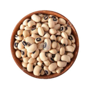 لوبيا چشم بلبلي دزفول درجه 1
