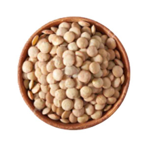 عدس روسي درجه 1